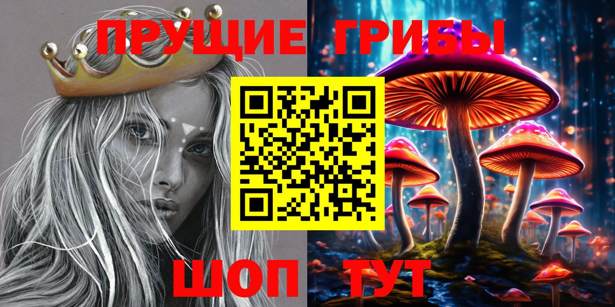 Галлюциногенные грибы Psilocybine cubensis Буйнакск