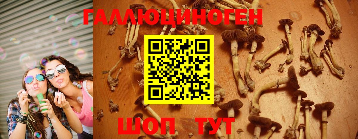 Псилоцибиновые грибы Magic Shrooms  Псилоцибиновые грибы Psilocybine cubensis  Буйнакск  Вход с VPN 