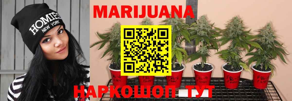 Конопля LSD WEED  Конопля SATIVA & INDICA  Буйнакск  Вход с VPN  Канабис сатива  Бошки Шишки Ganja 